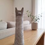 Gatito con chompita blanca
